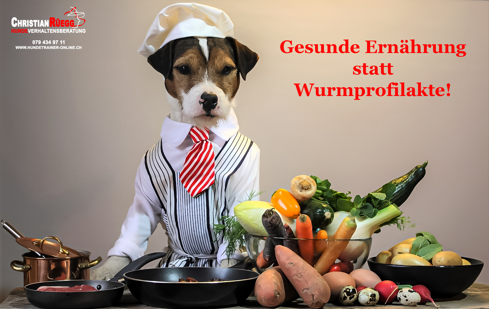 Gesunde Ernährung statt Wurmprofilakte